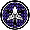 Mothership Glass